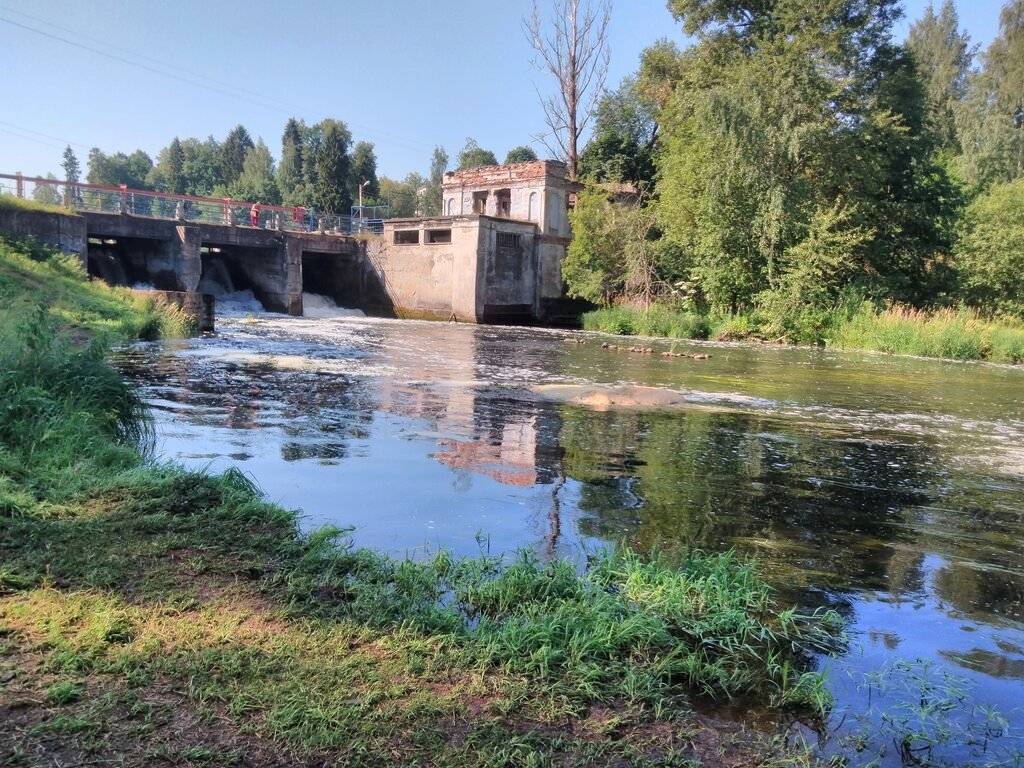 Купить справку в Сиверском