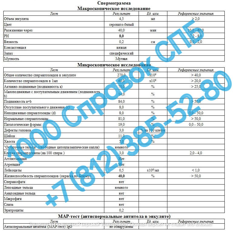 Спермограмма
